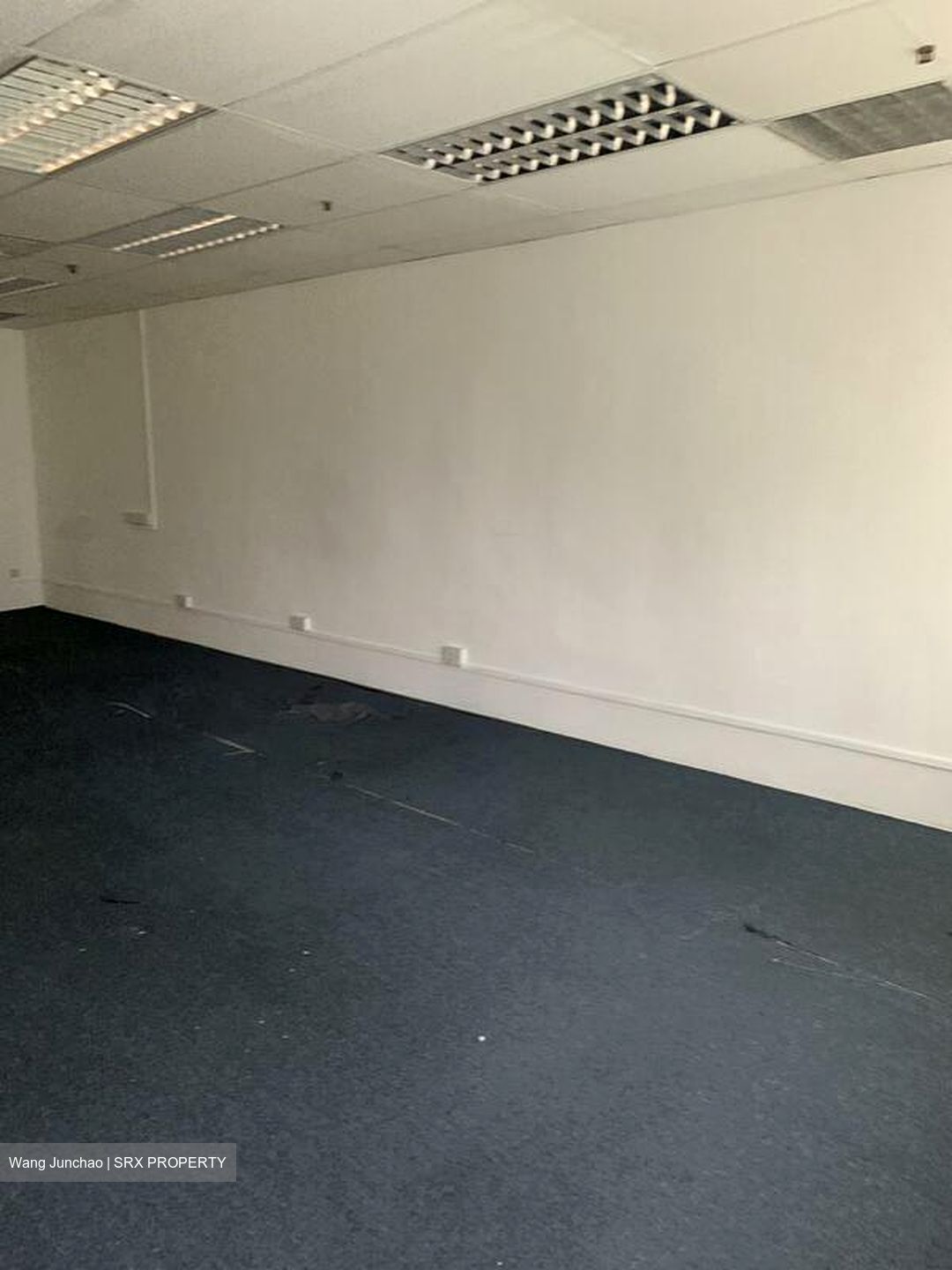 Fortune Centre (D7), Office #582240651